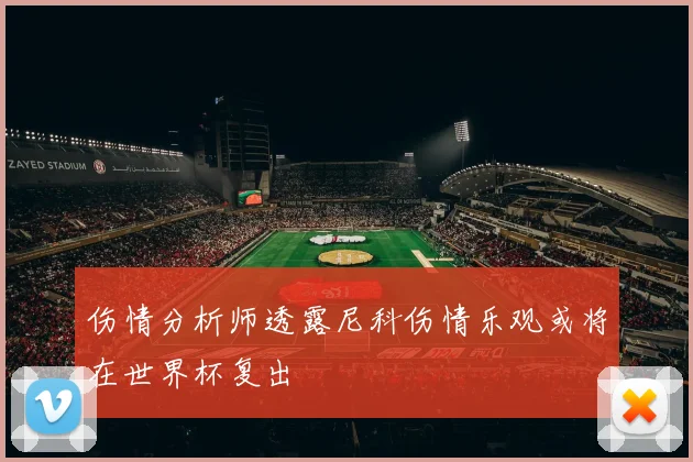 伤情分析师透露尼科伤情乐观或将在世界杯复出